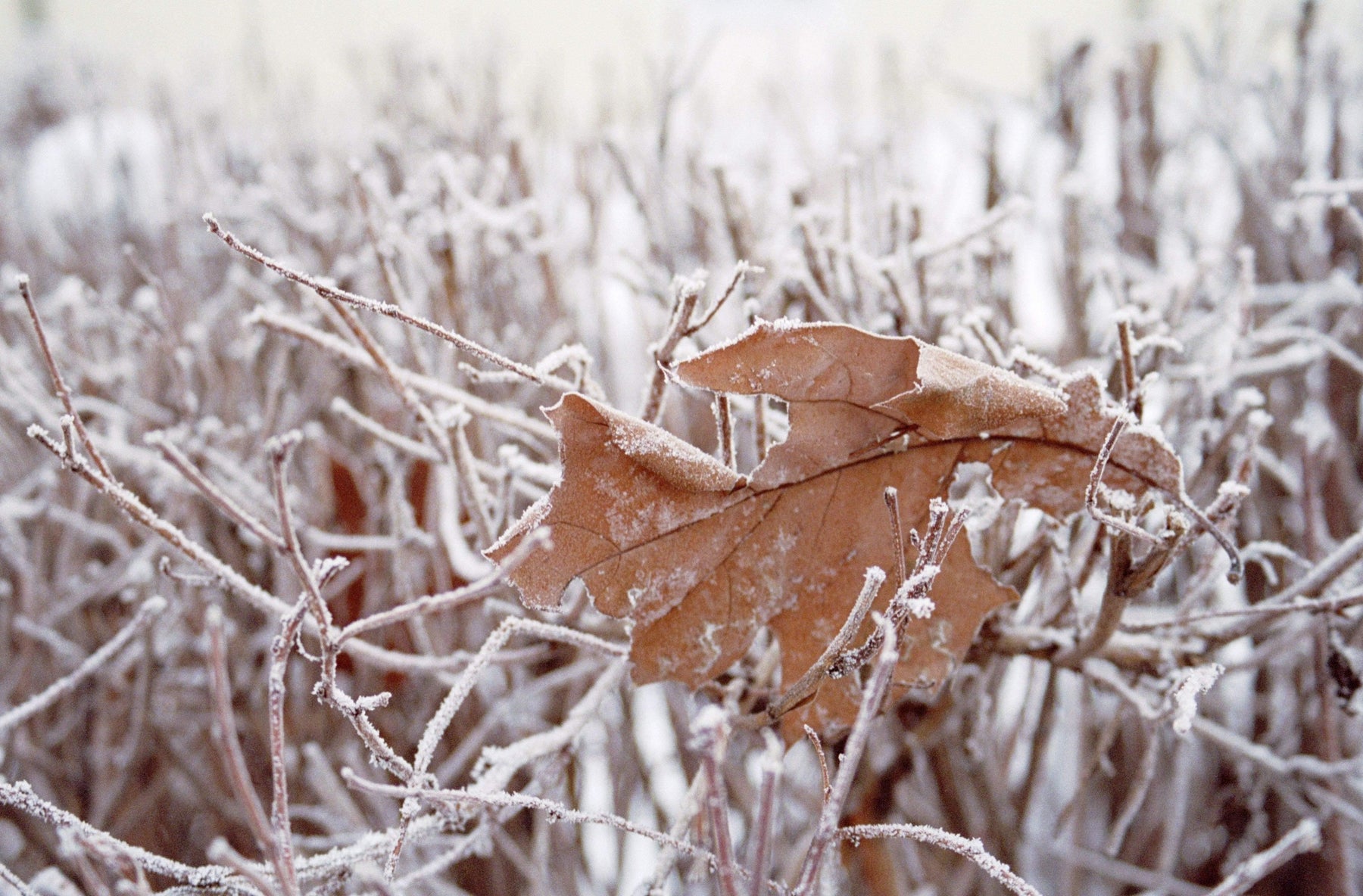 How-to: Winter Fashion without freezing - Sparrow & Finch Boutique