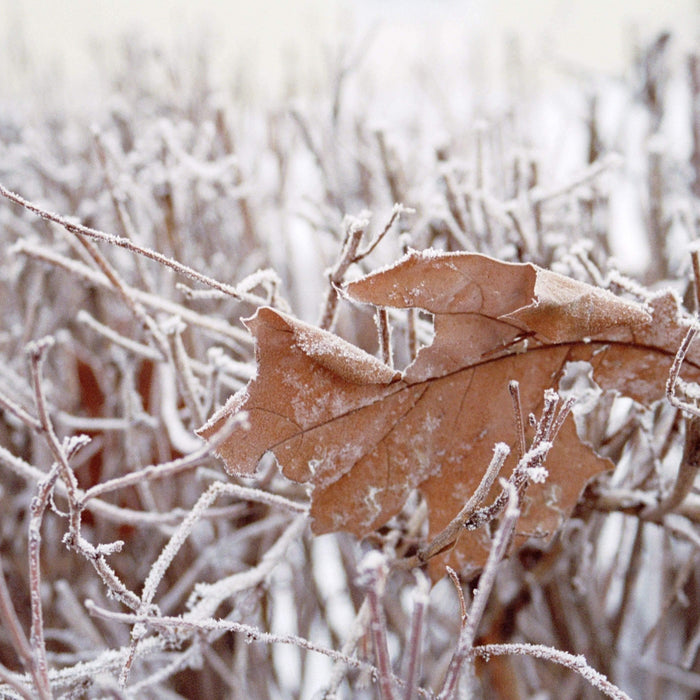 How-to: Winter Fashion without freezing - Sparrow & Finch Boutique