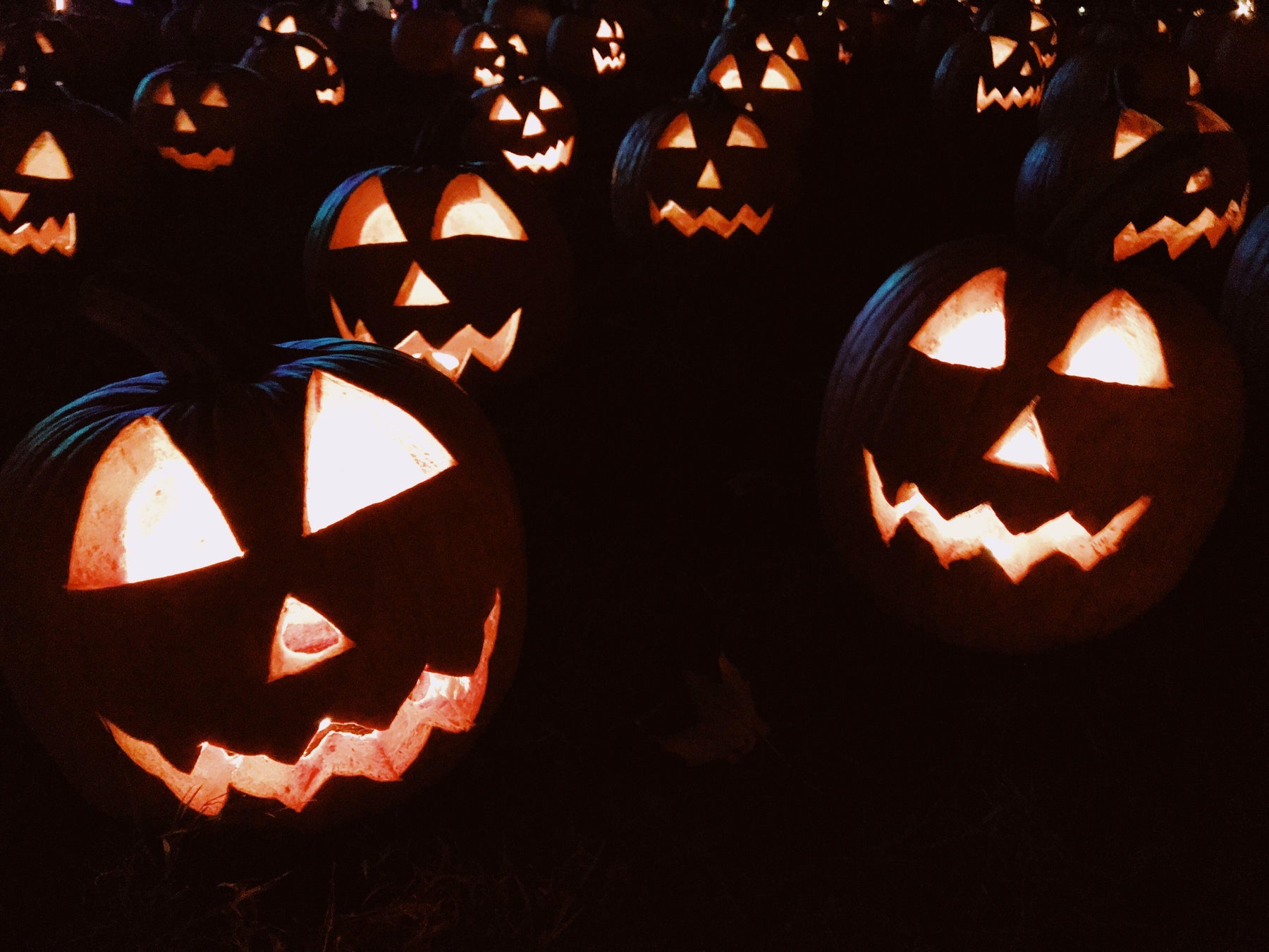 SO HOT RN: Halloween Edition - Sparrow & Finch Boutique